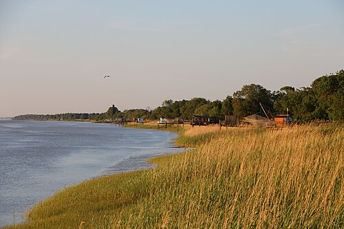 Gironde estuary